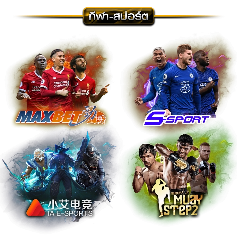  lupin55 banner-sport
